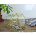 Decorazione geometrica del terrario di vetro del giardino di casa